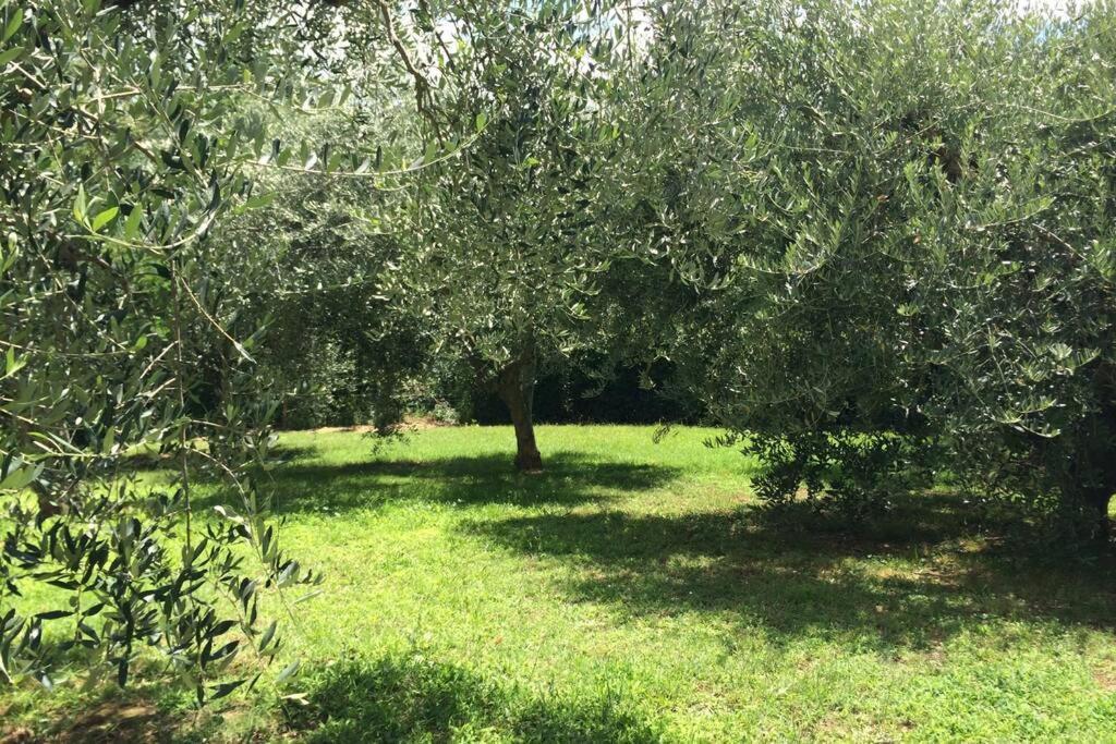 Campagna Toscana Presso Terme Appartement Lari Buitenkant foto