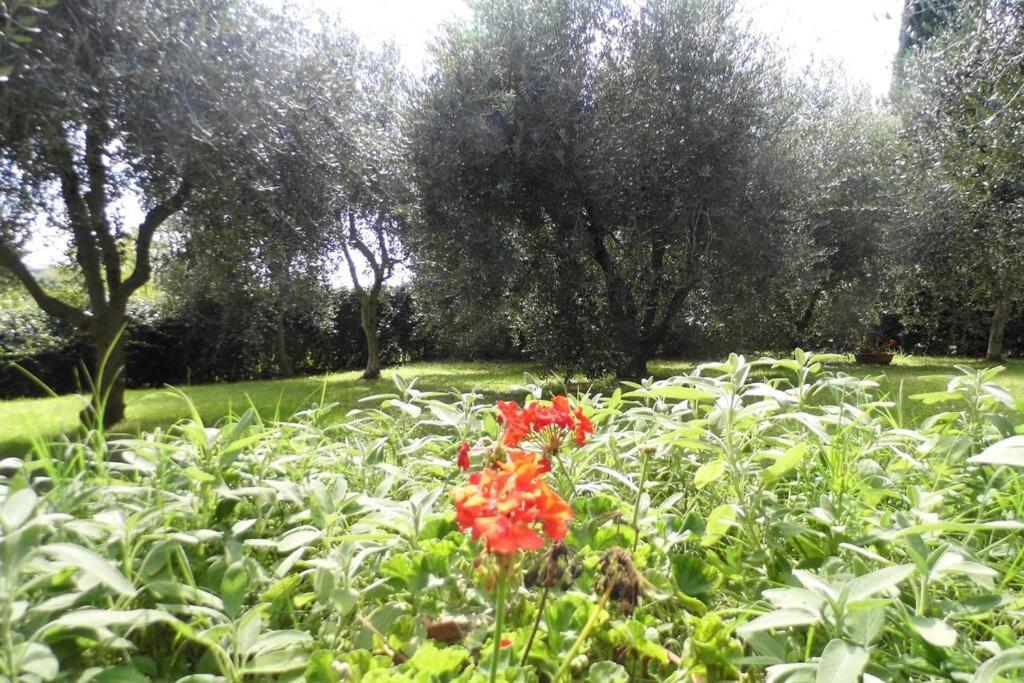 Campagna Toscana Presso Terme Appartement Lari Buitenkant foto