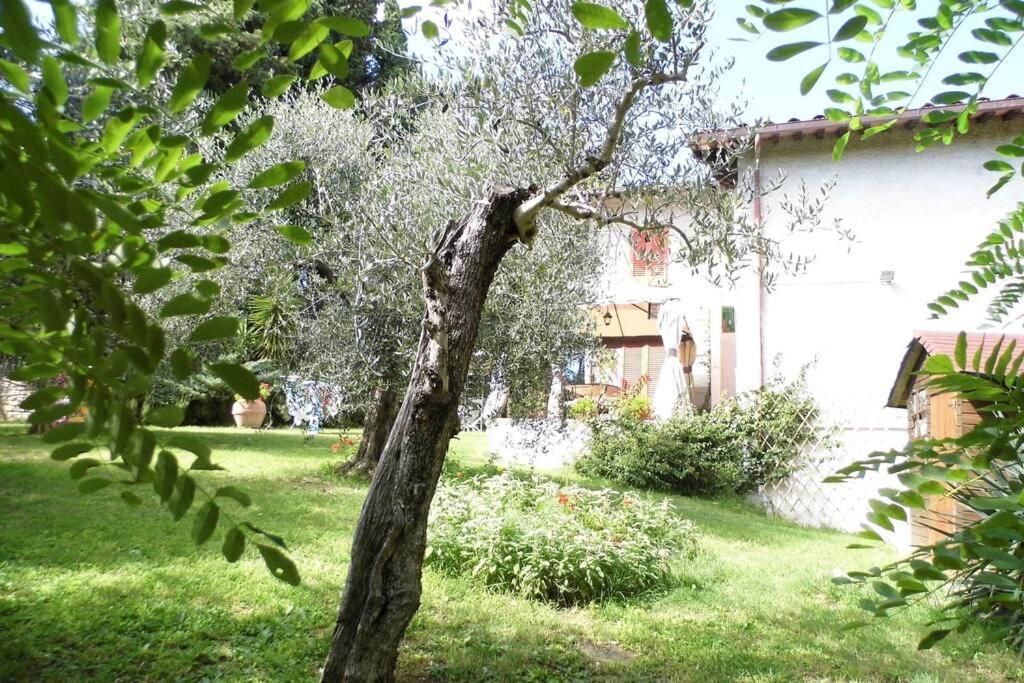 Campagna Toscana Presso Terme Appartement Lari Buitenkant foto